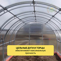 Теплица «Заря Витязь»