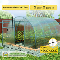Теплица «Заря Витязь»